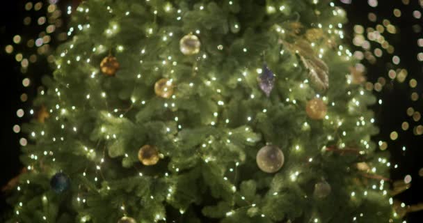 Una Mujer Acerca Brillante Árbol Navidad Cuelga Juguete Una Rama — Vídeos de Stock