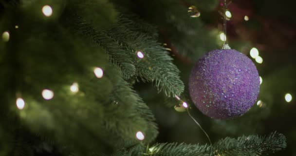 Ramas Árbol Navidad Decorado Una Bola Púrpura Cuelga Una Rama — Vídeo de stock
