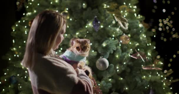 Kollarında Kedisi Olan Bir Kadın Güzel Bir Noel Ağacının Arka — Stok video