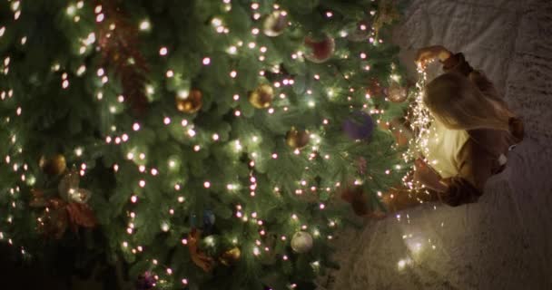 Ρέμπνοκ Κείτεται Κάτω Από Χριστουγεννιάτικο Δέντρο Ξετυλίγοντας Γιρλάντα Προετοιμασία Για — Αρχείο Βίντεο