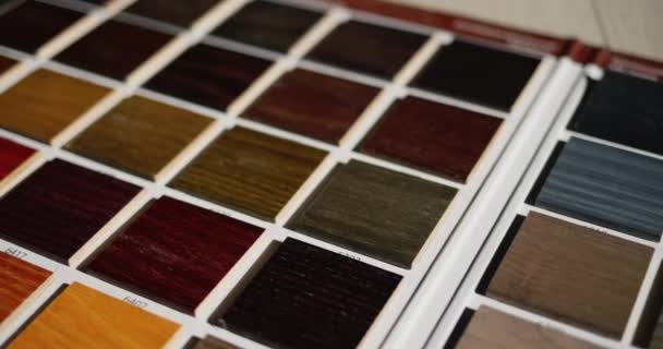 Palett Med Målade Träprover För Att Välja Färg Träprodukter — Stockvideo