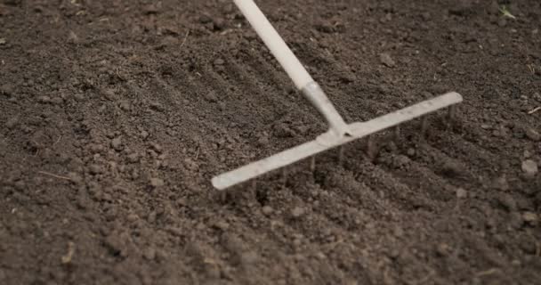 Working Farmers Garden Man Levels Soil Rake — Video Stock