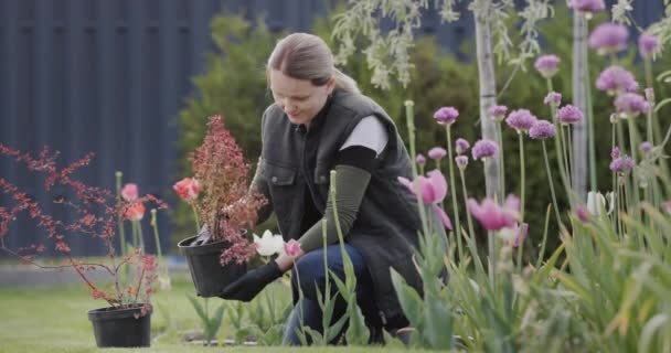 一个女人在她家附近的花园里种花 — 图库视频影像