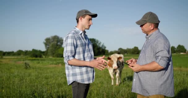 Två Boskapsuppfödare Kommunicerar Står Betesmarken Använder Tablett Nära Dem Cool — Stockvideo