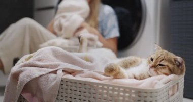 Kızıl bir kedi çamaşır sepetinde dinlenirken, arka planda ev sahibesi çamaşırları yıkıyor..