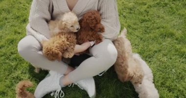 Bir sürü yavrusu olan bir kadın yeşil çimlerde oturuyor.