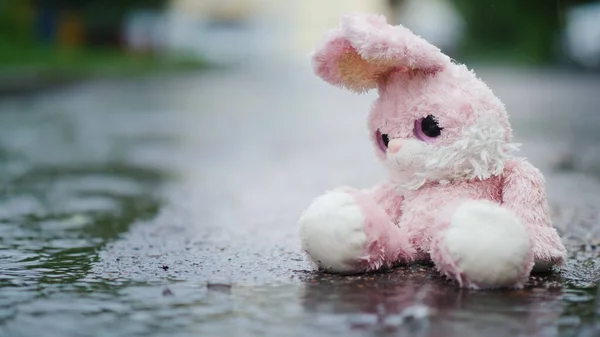 A wet toy hare becomes wet under the rain. Sits alone on the cold asphalt.