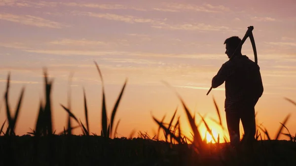 Nuori Maanviljelijä Viikate Pystyssä Pellolla Auringonlaskun Aikaan Siluetti Taustakuva — kuvapankkivalokuva