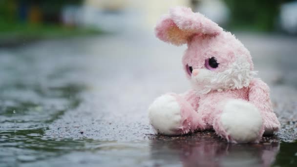 雨の下でぬれたおもちゃが濡れる 冷たいアスファルトの上に一人で座る — ストック動画