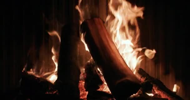 Quemaduras Fuego Una Chimenea Moderna Vídeo — Vídeos de Stock