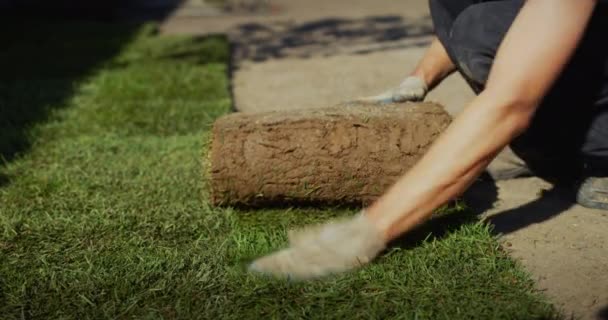Bir Grup Işçi Evin Bahçesine Yuvarlanmış Bir Çim Seriyor — Stok video