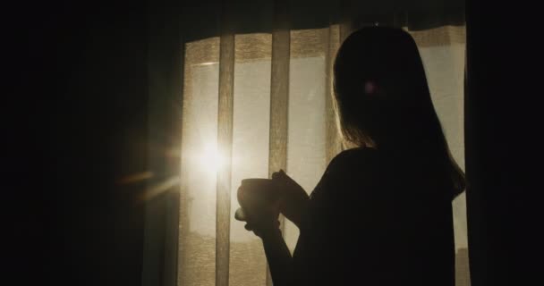 Sylwetka Kobiety Stojącej Przy Oknie Filiżanką Herbaty Spotyka Się Rano — Wideo stockowe
