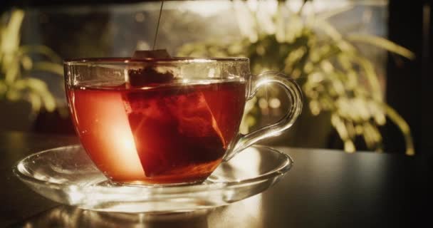 Balený Černý Čaj Vaří Skleněném Šálku — Stock video