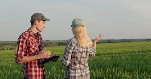 小麦畑のある絵のような風景を背景に 2人の農民が話しています — ストック写真