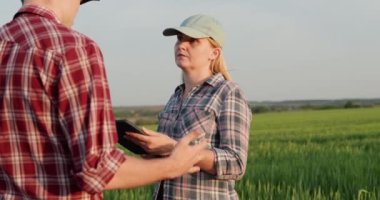 İki başarılı çiftçi yeşil buğday tarlasında iletişim kuruyor. Tablet kullan - tarımda teknoloji.