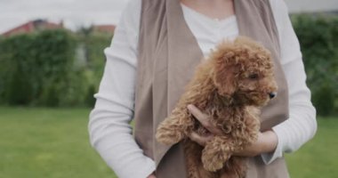 Sıcak kazaklı bir kadın kucağında bir sürü yavru köpek taşır..