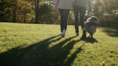 Anne ve kızı ve bir köpek sonbahar parkında bir evcil hayvanı gezdiriyorlar. Arka görünüm