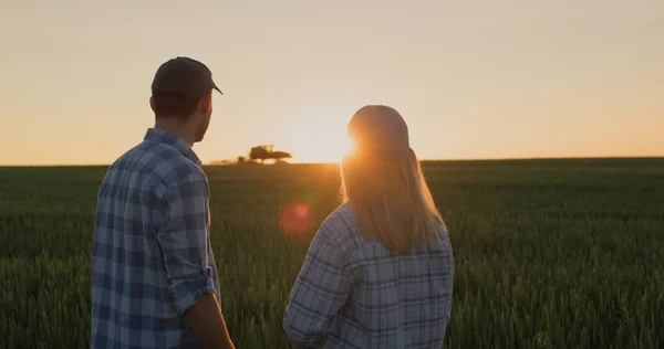 農家の若いカップルは トラクターが現場でどのように働くかを見ています 太陽が沈む小麦畑を背景に横に並んで — ストック写真