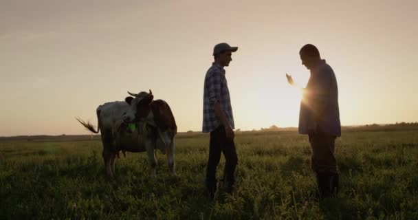 Dwóch Farmerów Rozmawia Pastwisku Potem Podają Sobie Ręce — Wideo stockowe