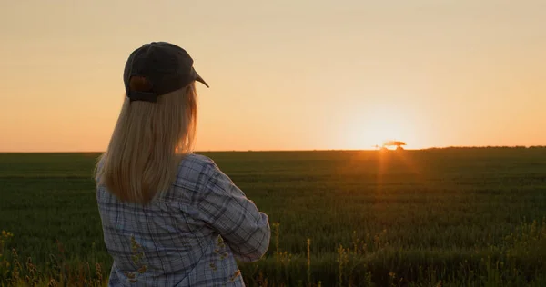 農家はトラクターが遠くで働いている彼女の小麦畑を見ています 夕暮れ時のシルエット — ストック写真