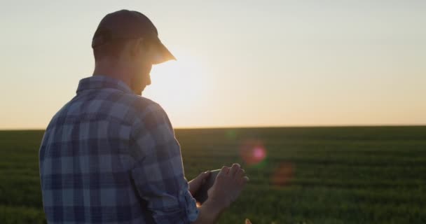 Jeune Agriculteur Prospère Travaille Sur Terrain Homme Utilise Une Tablette — Video