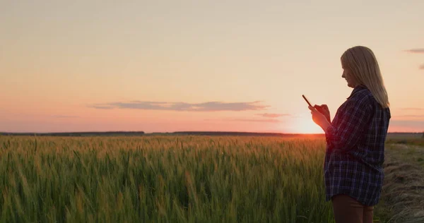 Een Boerenvrouw Staat Tegen Achtergrond Van Een Tarweveld Bij Zonsondergang — Stockfoto