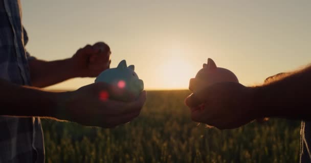 いくつかの農家は 豚小屋にお金を入れ 日没時に小麦畑を背景に立っている 農業への投資と貯蓄 — ストック動画
