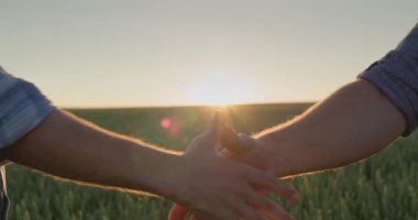 Çiftçilerin iki erkek elini güneşin battığı buğday tarlasının arka planına yaslayın..