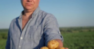 Çiftçi elinde patateslerin daha yeni kazıldığı bir tarlada duruyor..