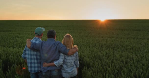 Friendly Family Farmers Admiring Sunset Field Wheat — Stock Video