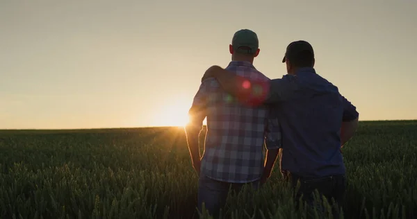 Father farmer hugging his adult son and watching the sunset over the field together.