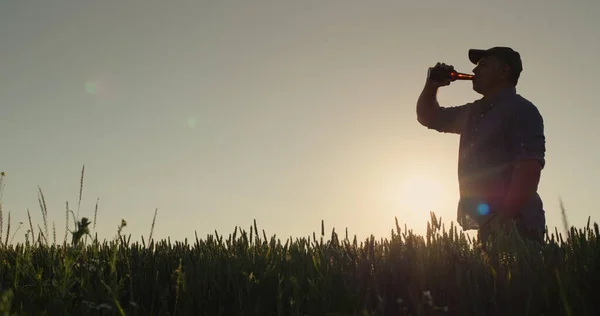 Güneşin Battığı Buğday Tarlasının Arka Planında Bira Içen Bir Adamın — Stok fotoğraf