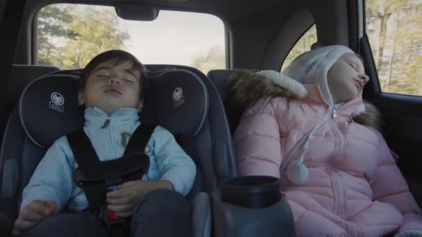 Bambini Dormienti Guidano Sul Sedile Posteriore Dell Auto Asiatico Bambino — Video Stock