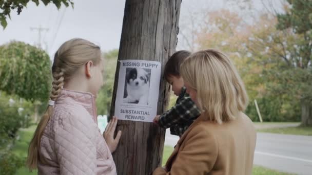 자녀가 여자가 행방불명된 강아지에 광고를 — 비디오