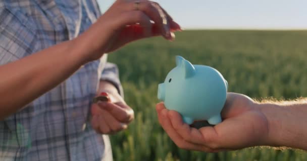 一个女人的手把硬币放在她丈夫的储蓄罐里 家庭预算概念 — 图库视频影像