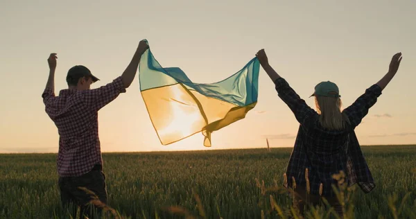 Energetic Ukrainian Couple Raising Flag Ukraine Field Wheat Sunset — Stock Photo, Image