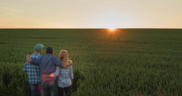Vänlig Familj Bönder Beundrar Solnedgången Över Ett Vetefält — Stockvideo