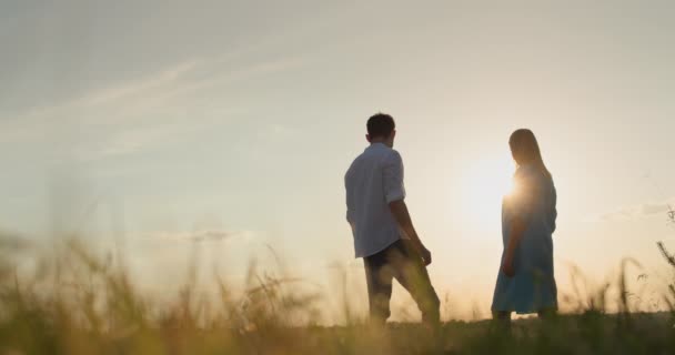 一对已婚夫妇站在日落前向前看 关系和家庭概念 — 图库视频影像