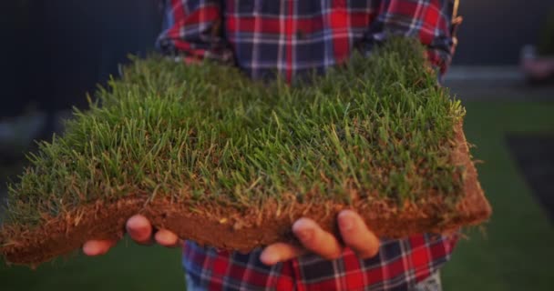 Farmers Hands Holding Piece Land Green Grass Land Trade Ecology — Stock Video