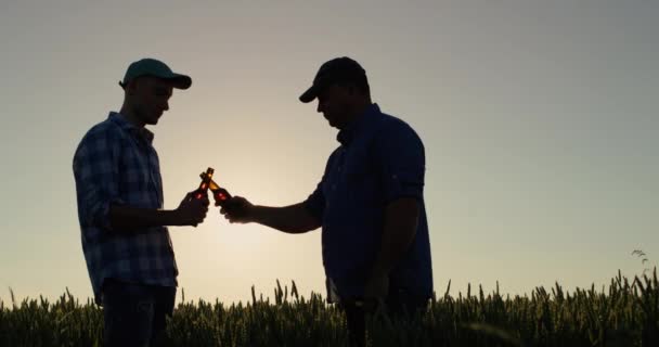 Dos Hombres Beben Cerveza Campo Trigo Celebrando Acuerdo Agrícola Exitoso — Vídeo de stock