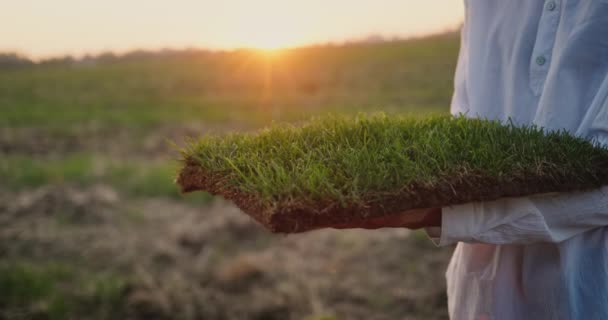Man White Shirt Passes Hand Hand Piece Land Green Grass — Stock Video