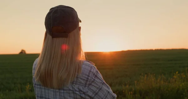 小麦の畑の上に日の出を賞賛する女性の背面図 — ストック写真