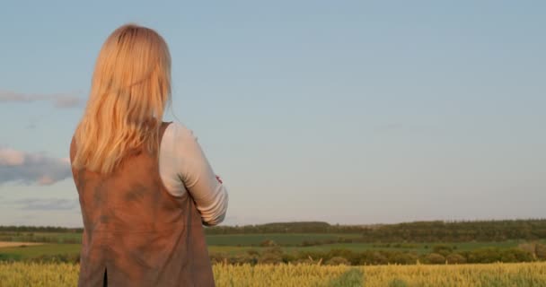女性は小麦畑の絵のような風景を見ています バックビュー — ストック動画