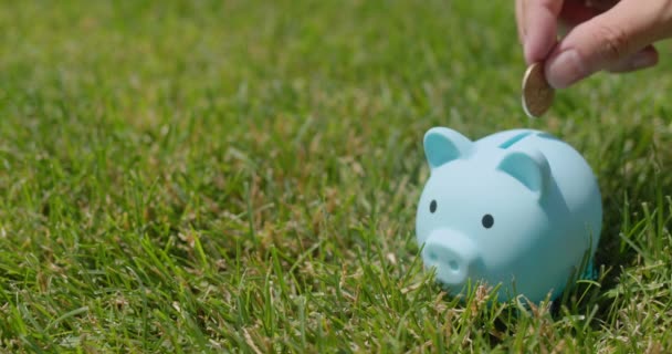 Man Puts Coins Piggy Bank Stands Green Lawn — Stock Video