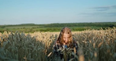 A teenage girl with long hair and a bouquet of spikelets of wheat sits in a wheat field. Summer on the farm.