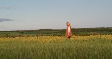 Bir kadın buğday tarlasında yürür. Resmedilmeye değer kırsal bir arazinin arka planında..