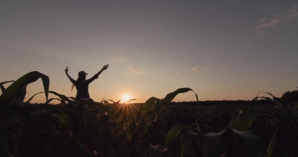 Young Female Farmer Raises Her Hands Field Corn Sun Setting — Stockvideo