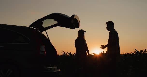 Young Couple Arguing Front Broken Car Car Parked Side Corn — Αρχείο Βίντεο