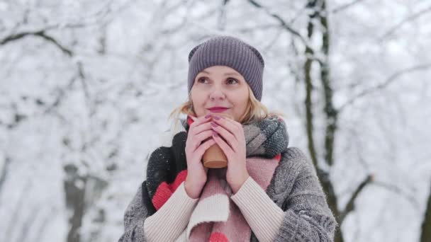 Bir Kadın Kış Parkında Sıcak Bir Ile Isınıyor — Stok video