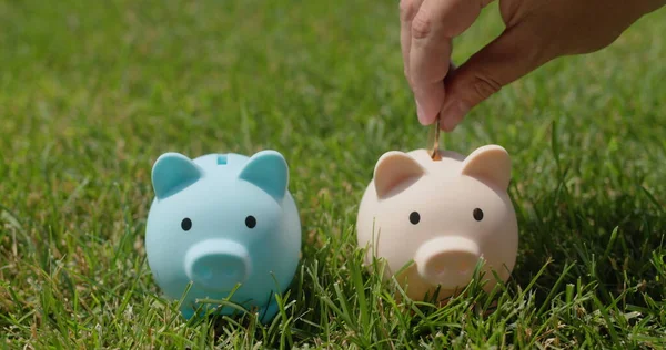 Eine Hand Steckt Münzen Zwei Sparschweine Die Auf Grünem Gras — Stockfoto